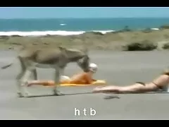 আমি বাঙালি মেয়েদের সেক্সি ভিডিও তোমাকে পাছায় চুদতে চাই, পিরিয়ড